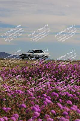 media/Jan-08-2023-SCCA SD (Sun) [[8f6a5b9391]]/Intermediate Group/Session 2 (Short Straight)/